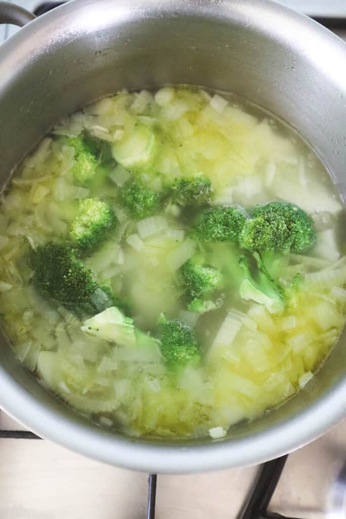 celery, onions and broccoli boiling in a pot of water