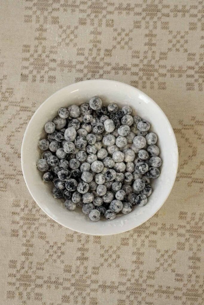 Blueberries in a white bowl that are lightly covered with flour.
