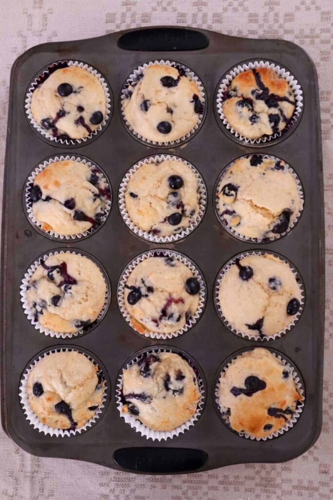 12 baked blueberry cottage cheese muffins in a muffin tin.