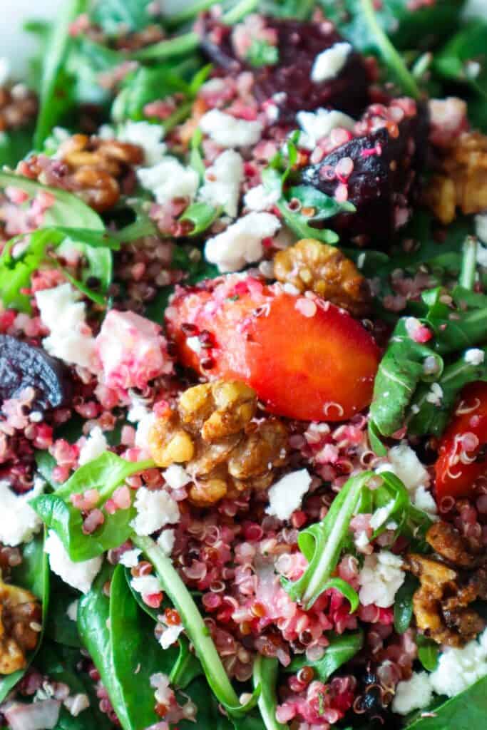 Close up of fall harvest quinoa salad with beets and carrots, baby spinach leaves, arugula, walnuts and walnuts.