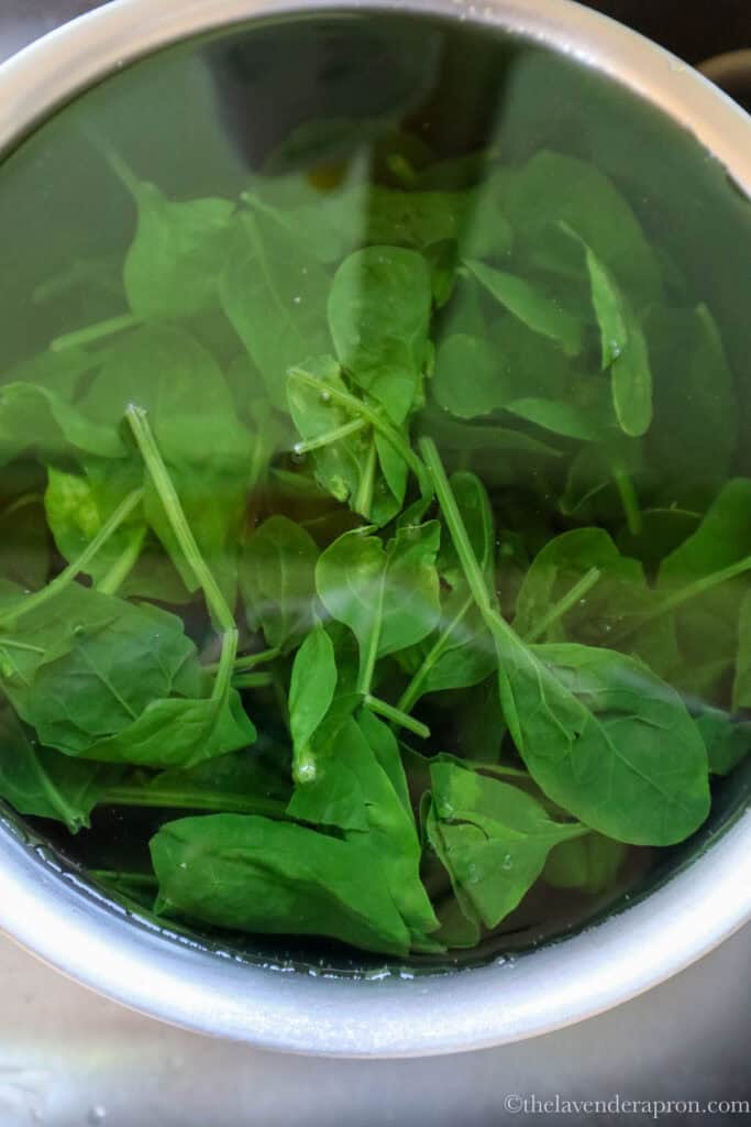 Rinsing the cooked spinach under cold water to stop the cooking.