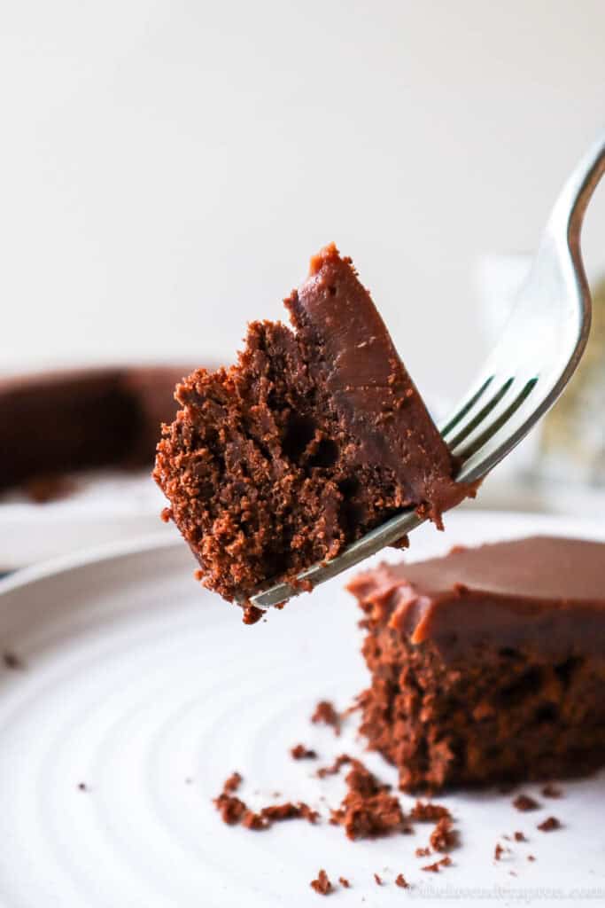 Forkful of Belgian chocolate cake with Belgian chocolate ganache.
