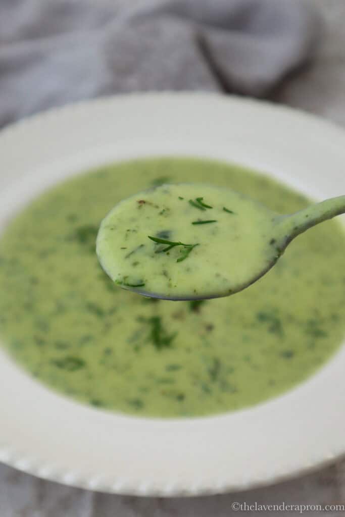 Spoonful of creamy zucchini soup with fresh dill.
