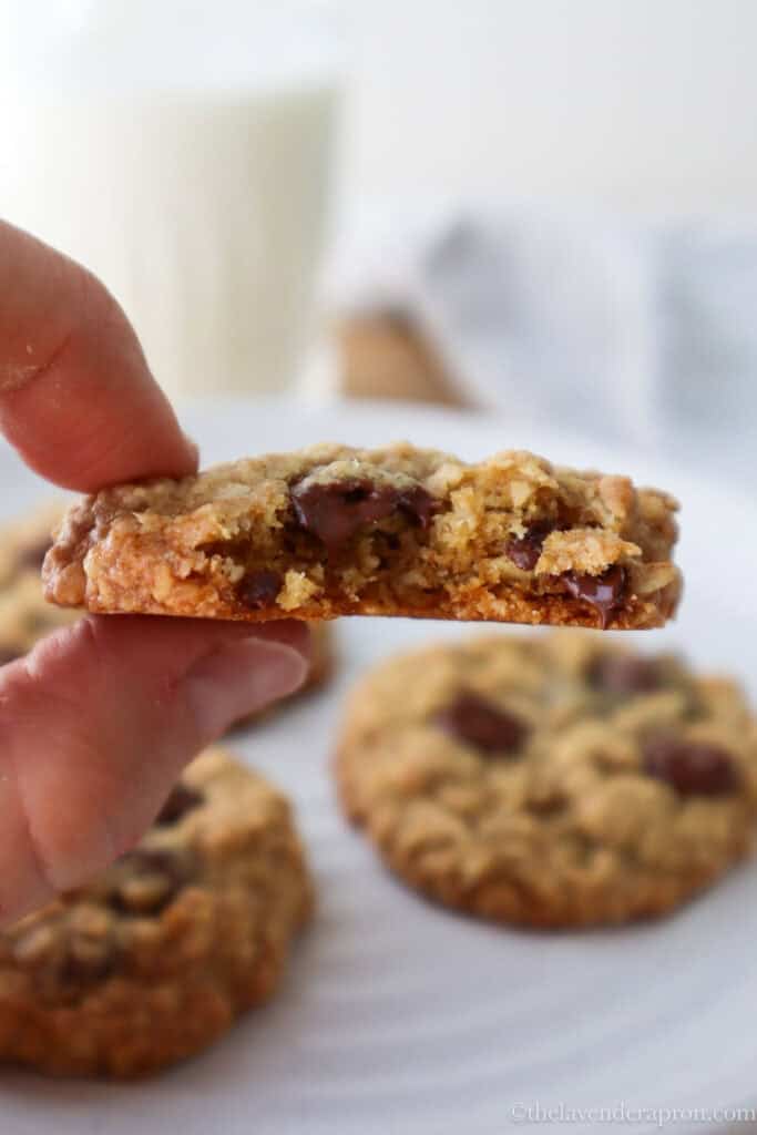 Hand holding chewy small chocolate chip oatmeal cookie with bite taken out.